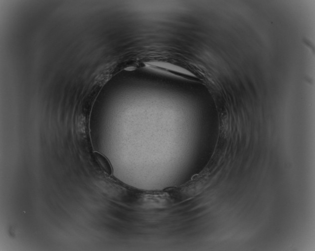 X0000092280571200710051146
