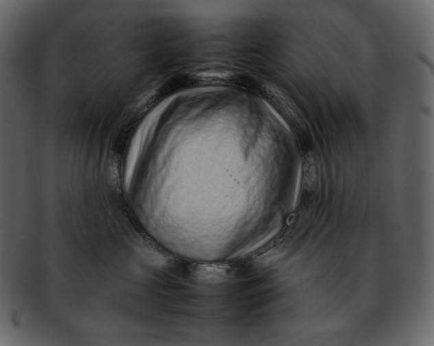 X0000092280573200710051146
