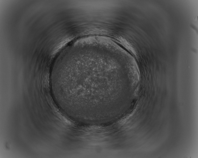 X0000092280581200710051145