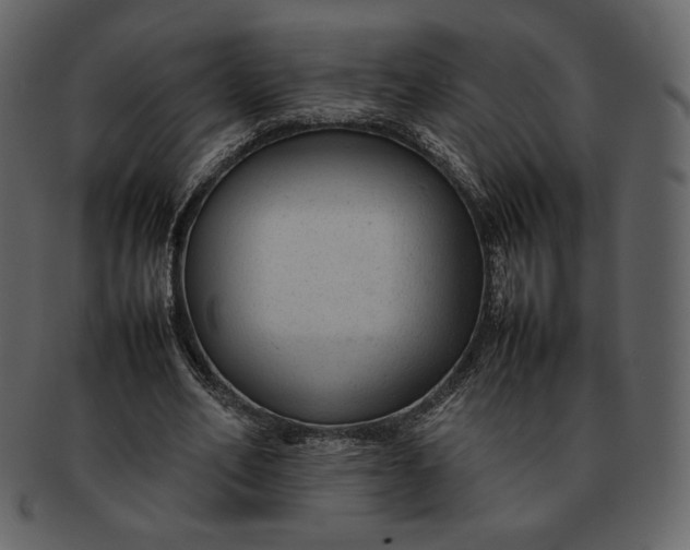 X0000092280582200710051145
