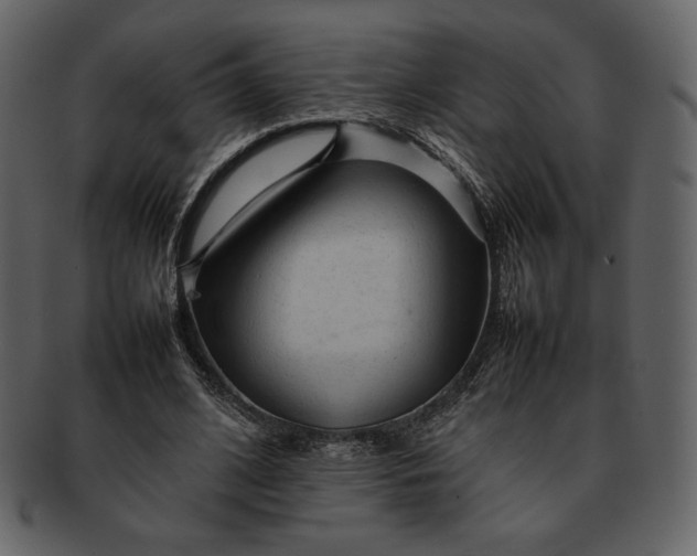 X0000092280584200710051145