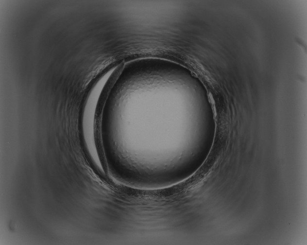 X0000092280585200710051145