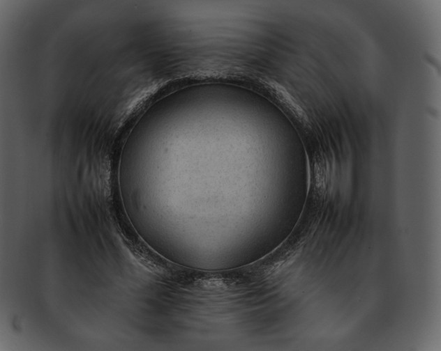 X0000092280588200710051145