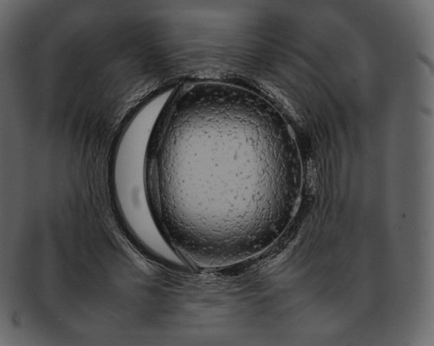 X0000092280589200710051145