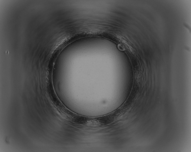 X0000092280591200710051145