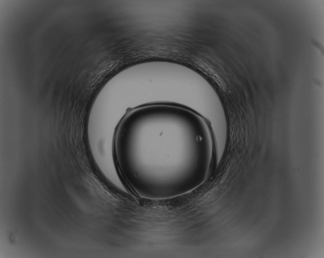 X0000092280593200710051145