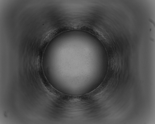 X0000092280594200710051145