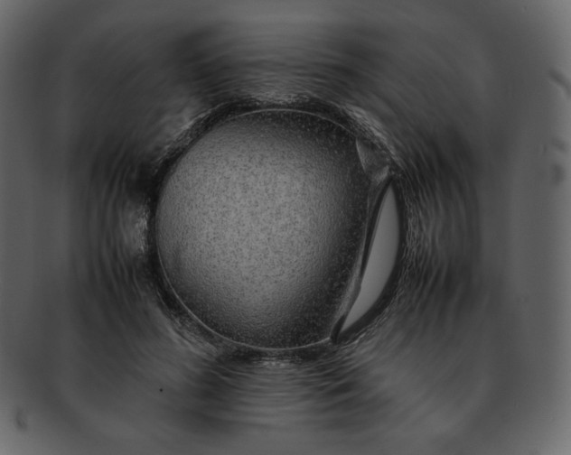 X0000092280596200710051145