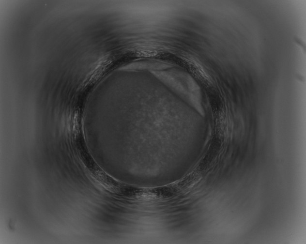 X0000092280598200710051145
