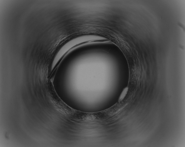 X0000092280600200710051145