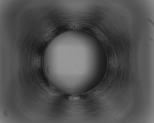 X0000092280602200710051145