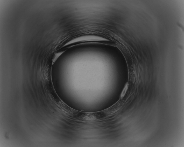 X0000092280604200710051145