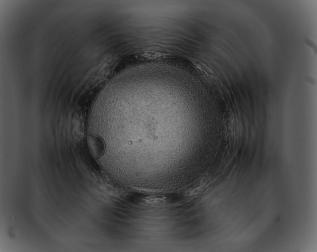 X0000092280606200710051145