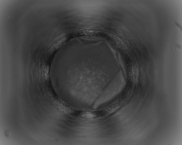 X0000092280610200710051145