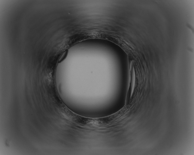 X0000092280611200710051145