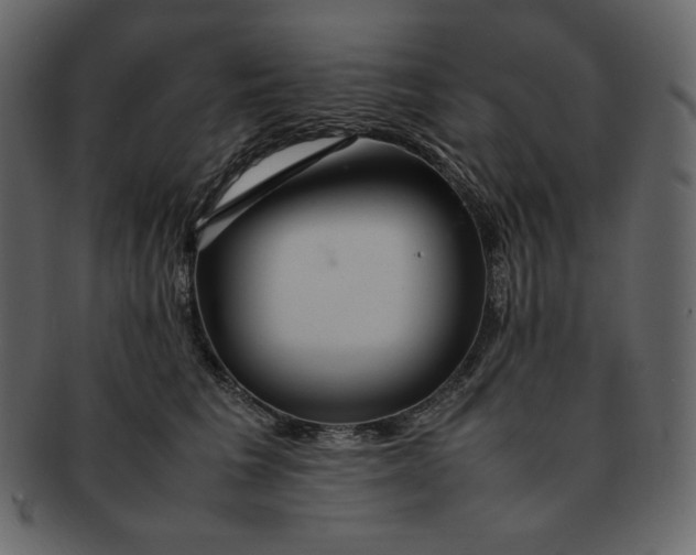 X0000092280613200710051145