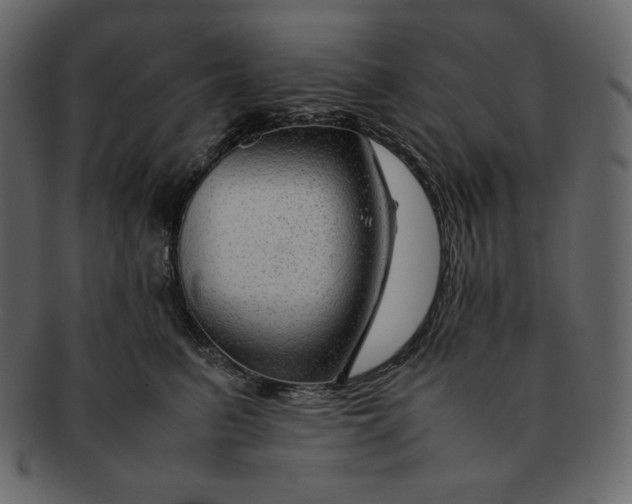 X0000092280615200710051145