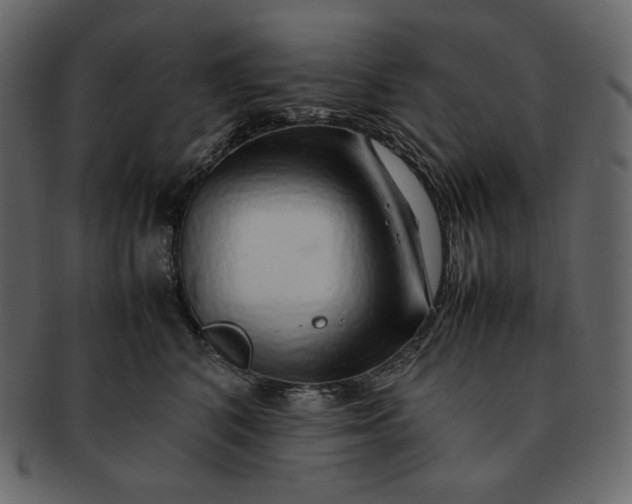 X0000092280616200710051145
