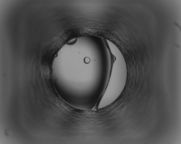X0000092280617200710051145