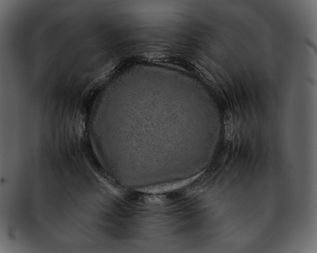X0000092280618200710051145