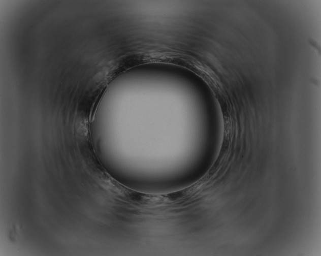X0000092280621200710051145