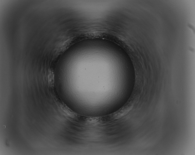 X0000092280624200710051145