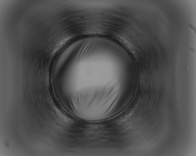 X0000092280629200710051144