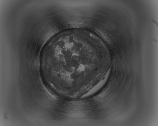 X0000092280630200710051144
