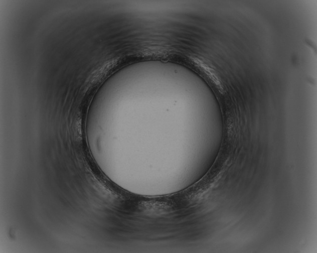 X0000092280633200710051144