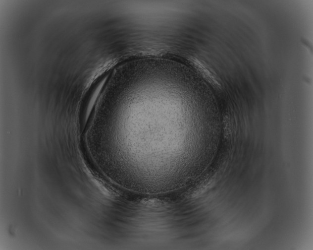 X0000092280634200710051144