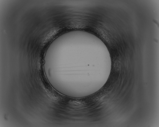 X0000092280635200710051144