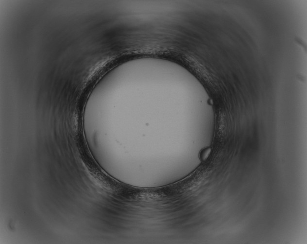 X0000092280636200710051144