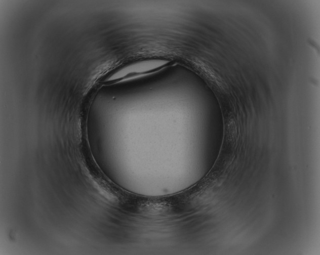 X0000092280638200710051144