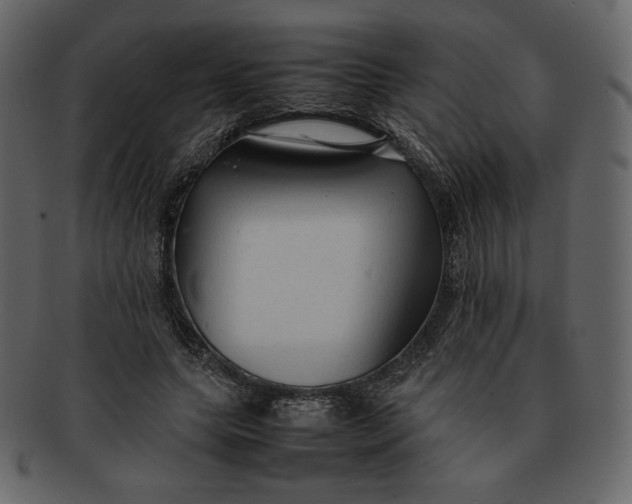 X0000092280639200710051144