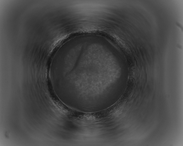 X0000092280640200710051144