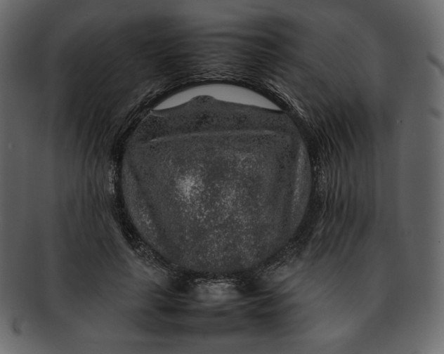 X0000092280643200710051144