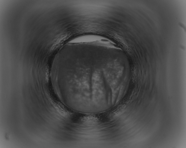 X0000092280644200710051144