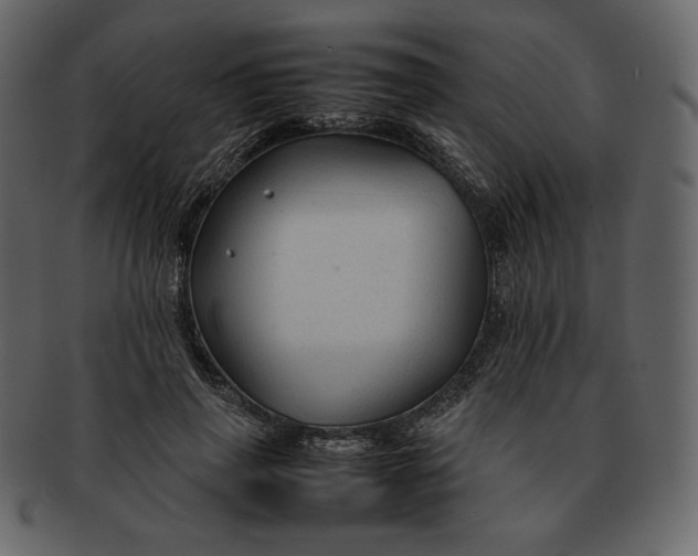 X0000092280645200710051144