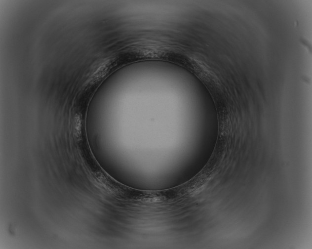 X0000092280646200710051144