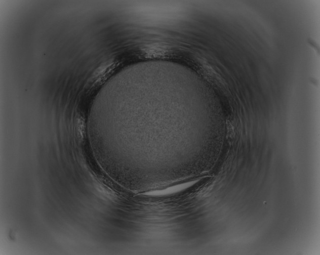 X0000092280648200710051144