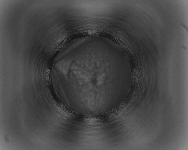 X0000092280650200710051144