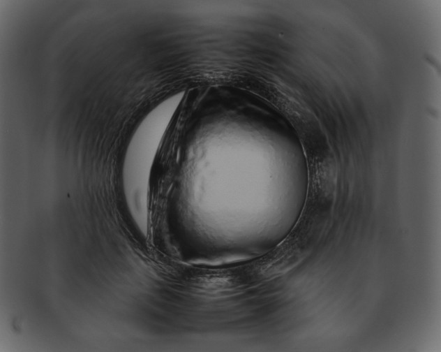 X0000092280651200710051144