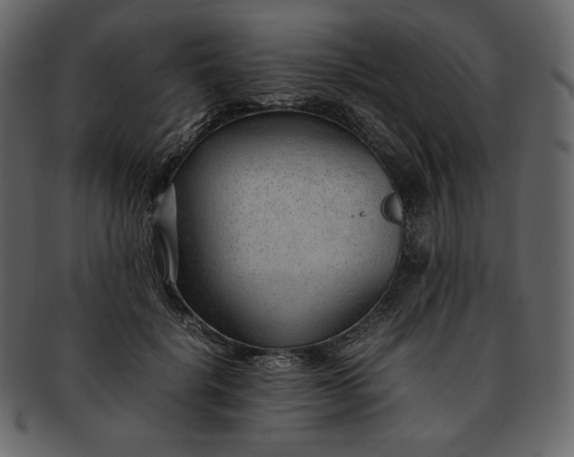 X0000092280652200710051144