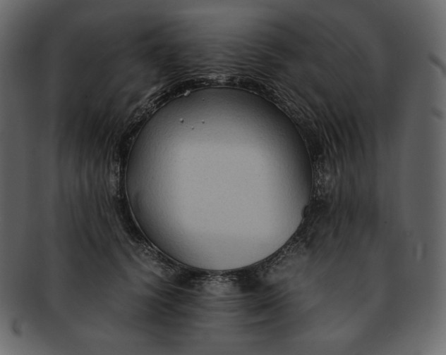 X0000092280656200710051144