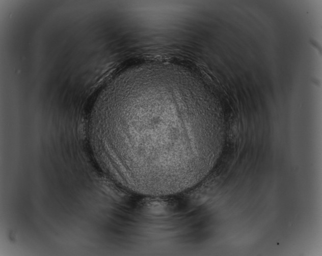 X0000092280658200710051144