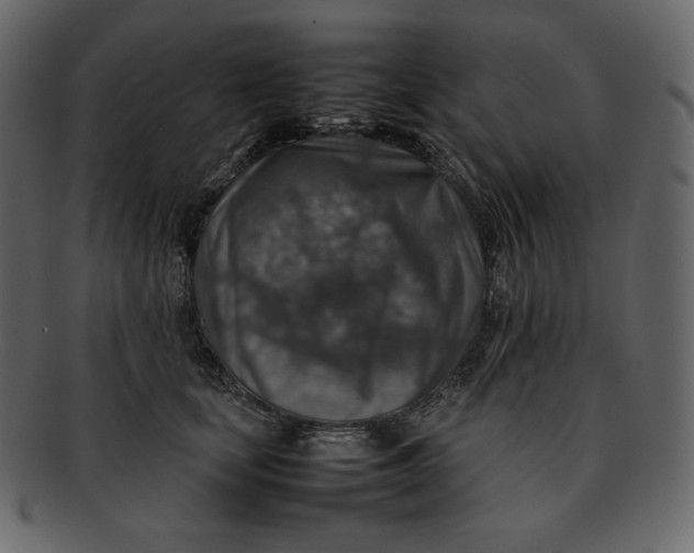 X0000092280659200710051144