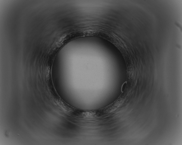 X0000092280660200710051144