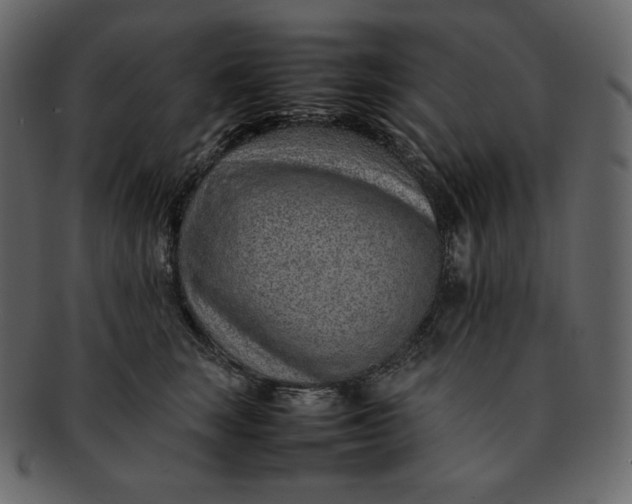 X0000092280663200710051144