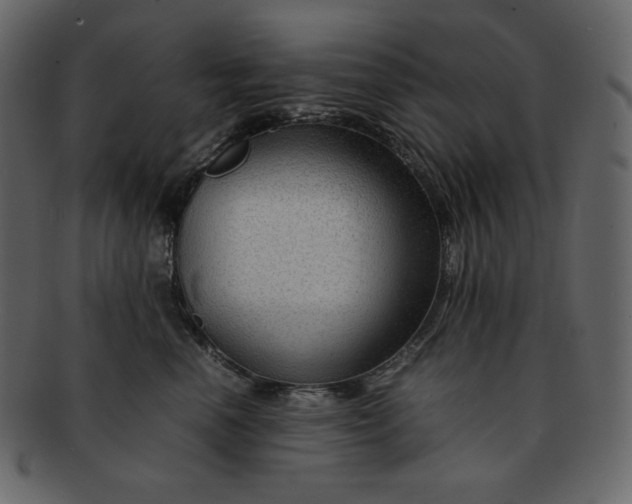 X0000092280666200710051144