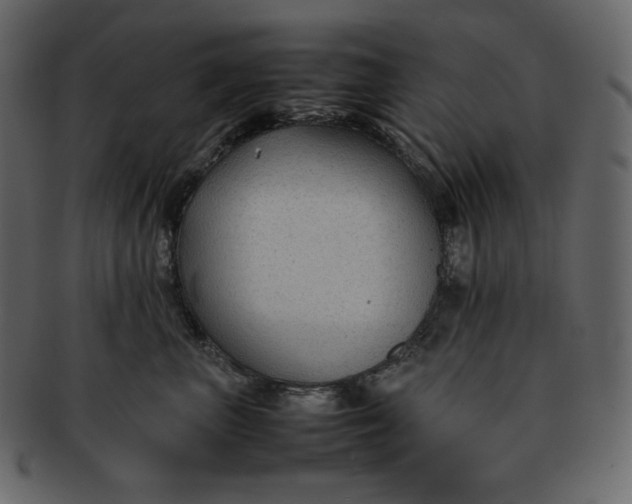 X0000092280667200710051144